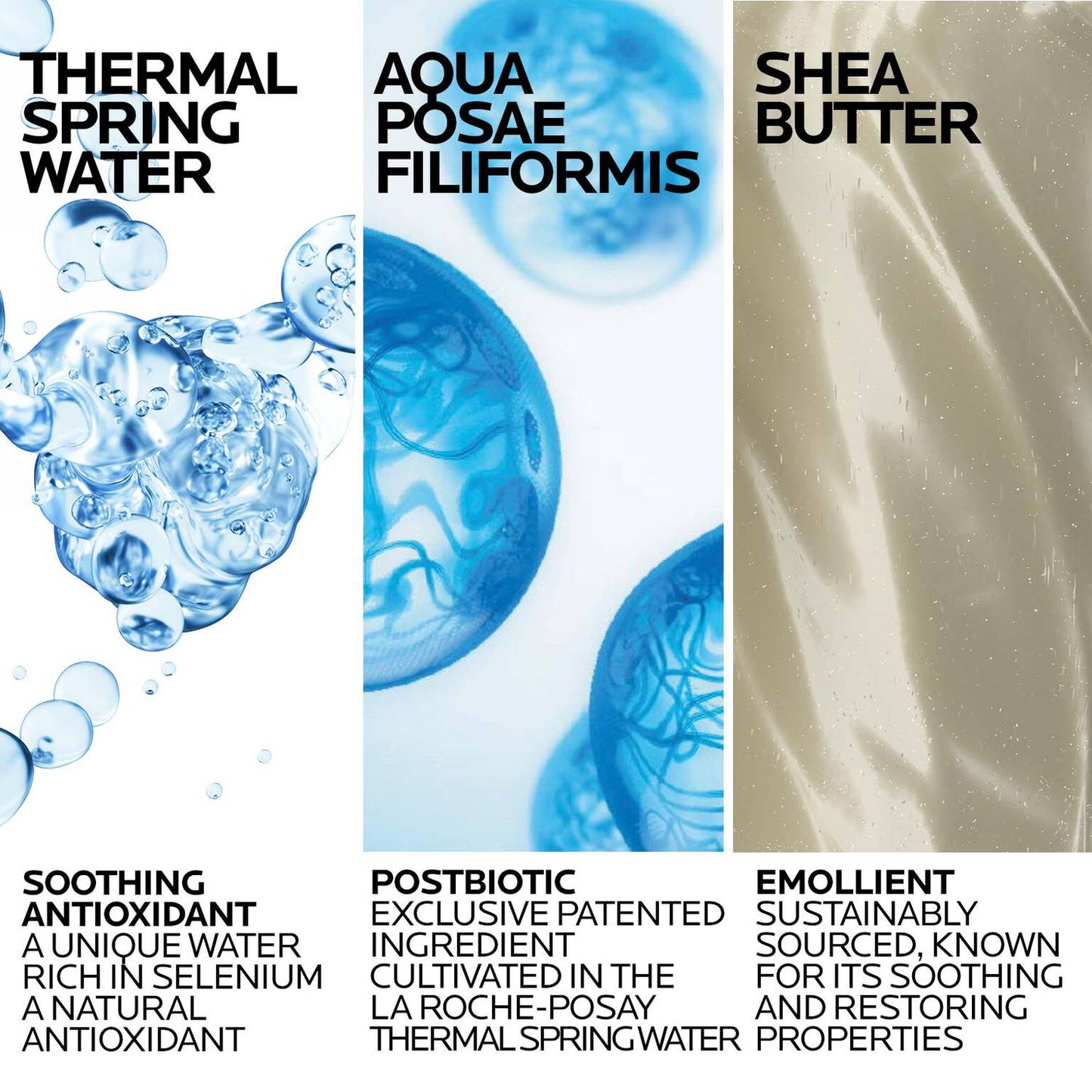 lipikar-wash-ap-moisturizing-body-and-face-wash-p4 Lipikar-Wash-ingredients_1500x1500-REV.jpg